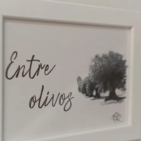 Apartament Vivienda Turistica Casa Quevedo Úbeda Zewnętrze zdjęcie